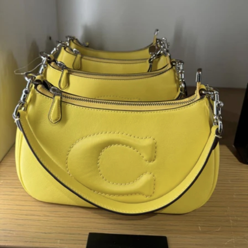 NWT Coach CR099 Teri Shoulder Bag Leather Crossbody in Silver/Daisy